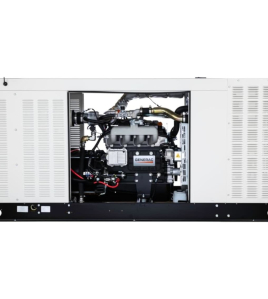 Generac Protector RG Series 80kW (120 / 240V) Single-Phase Liquid Cooled Multi-Fuel Standby Generator with Mobile Link (SCAQMD)