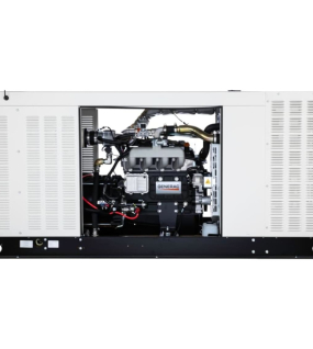 Generac Protector RG Series 80kW (120 / 240V) Single-Phase Liquid Cooled Multi-Fuel Standby Generator with Mobile Link (SCAQMD)
